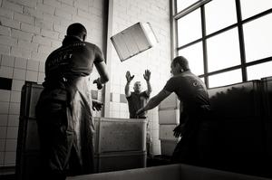 Vendange - Champage Brimont & Fils